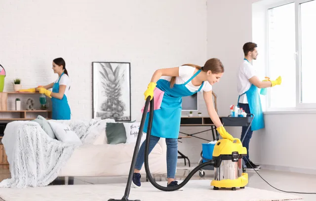 General House Cleaning